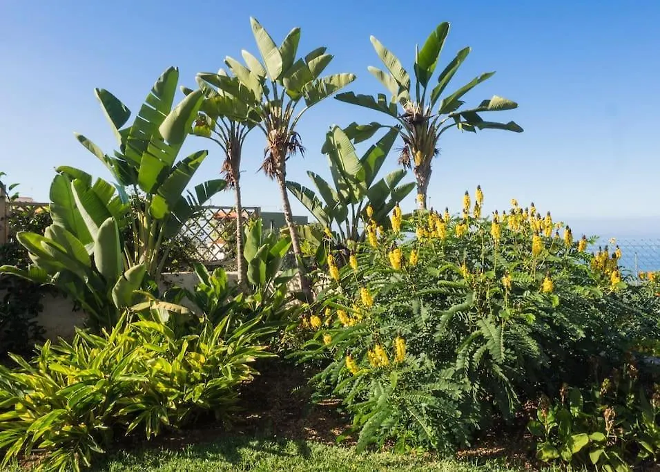 Casa Vina: A Spectacular Away From It All Holiday La Orotava